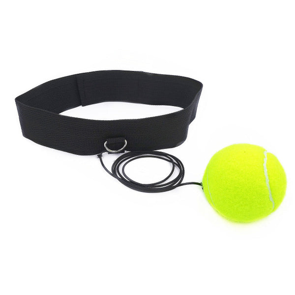 Reflex Boxing Ball