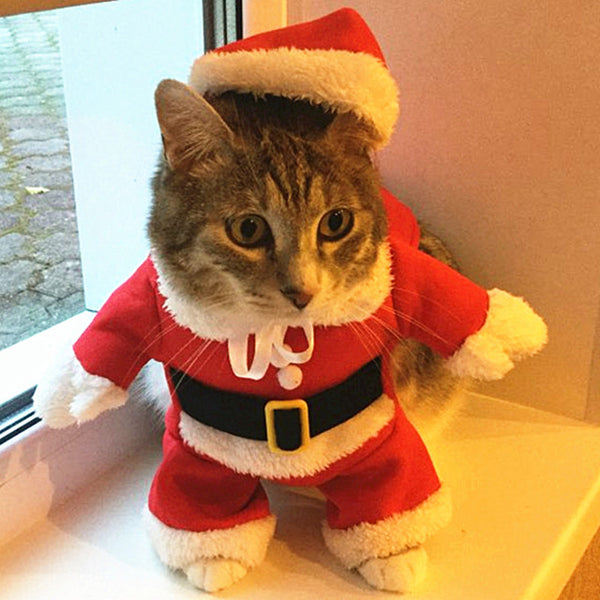 Costume Christmas & Halloween Cats Dogs