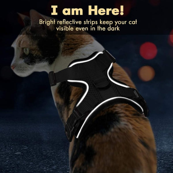 Cat Seat Belt Adapter Adjustable Reflective