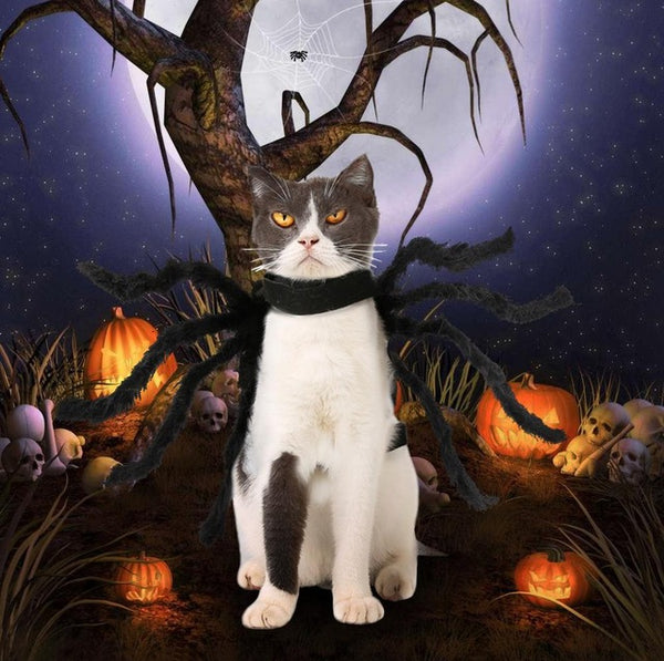 Halloween  Cat & Dog Costume Puppy Christmas Warm