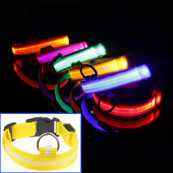 Light Night Collar Led Dog