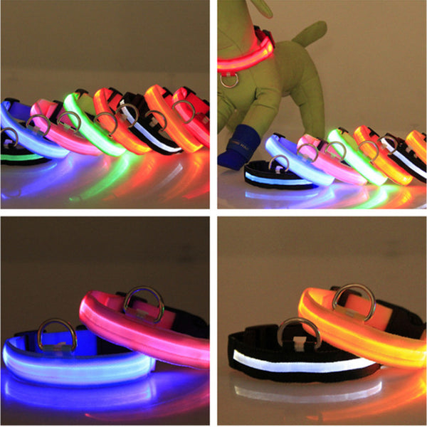 Light Night Collar Led Dog