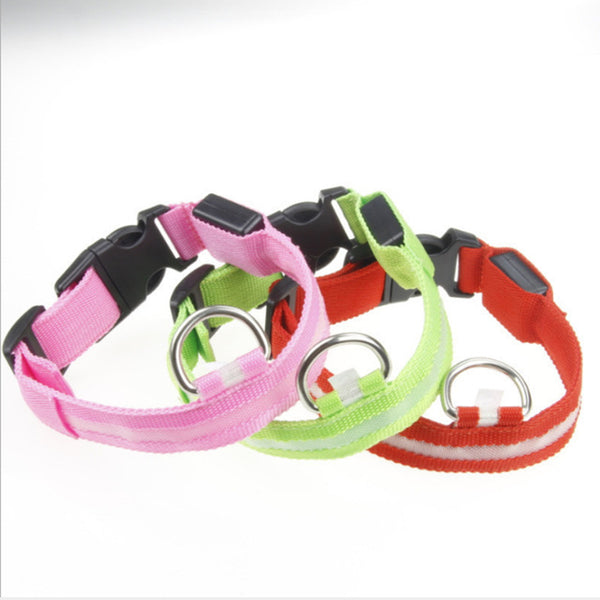 Light Night Collar Led Dog
