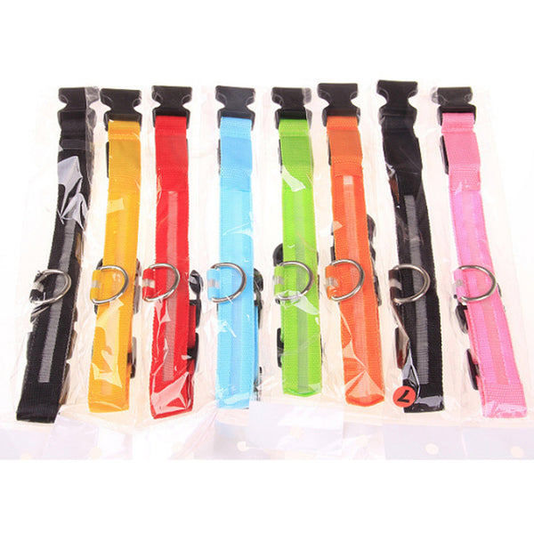 Light Night Collar Led Dog