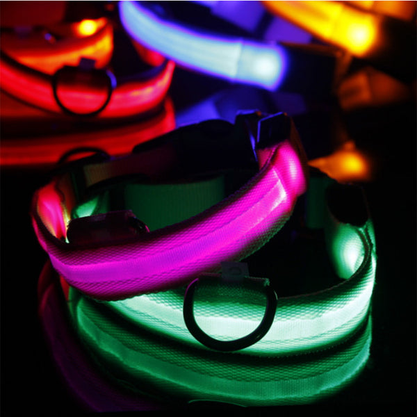 Light Night Collar Led Dog