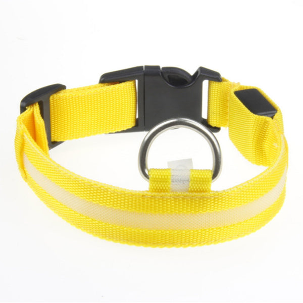 Light Night Collar Led Dog