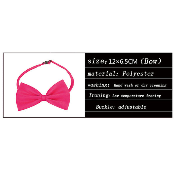 Necklace for Cat Collar Dogs