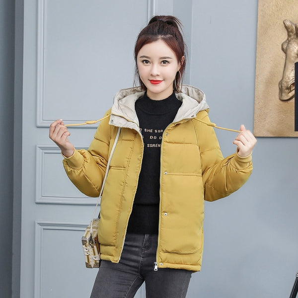 New Ladies Winter Jacket Women Cotton Padded Outwear Hooded 7 Colors Female