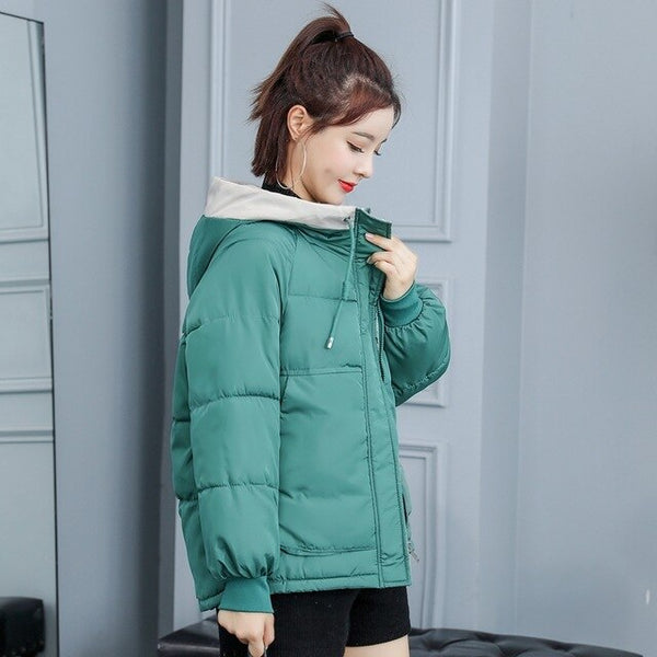 New Ladies Winter Jacket Women Cotton Padded Outwear Hooded 7 Colors Female