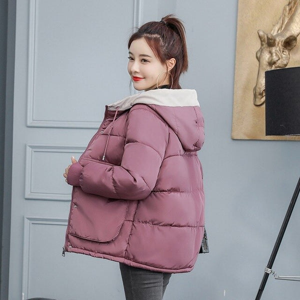 New Ladies Winter Jacket Women Cotton Padded Outwear Hooded 7 Colors Female