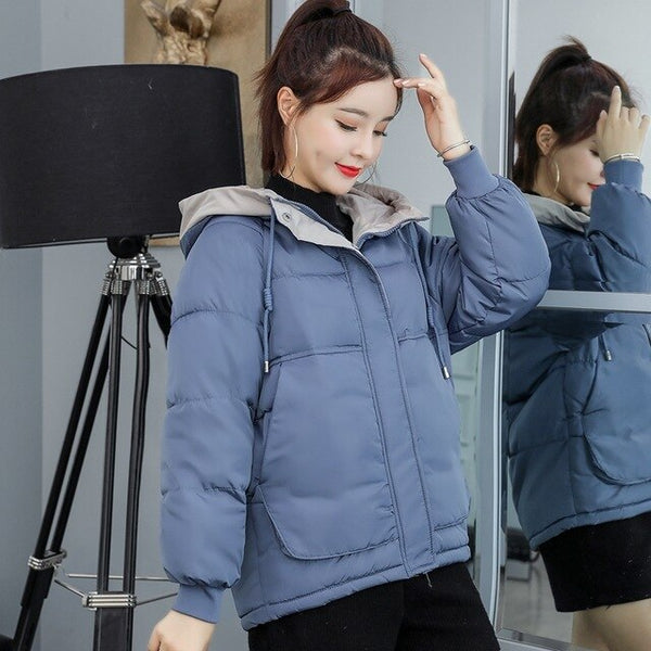 New Ladies Winter Jacket Women Cotton Padded Outwear Hooded 7 Colors Female