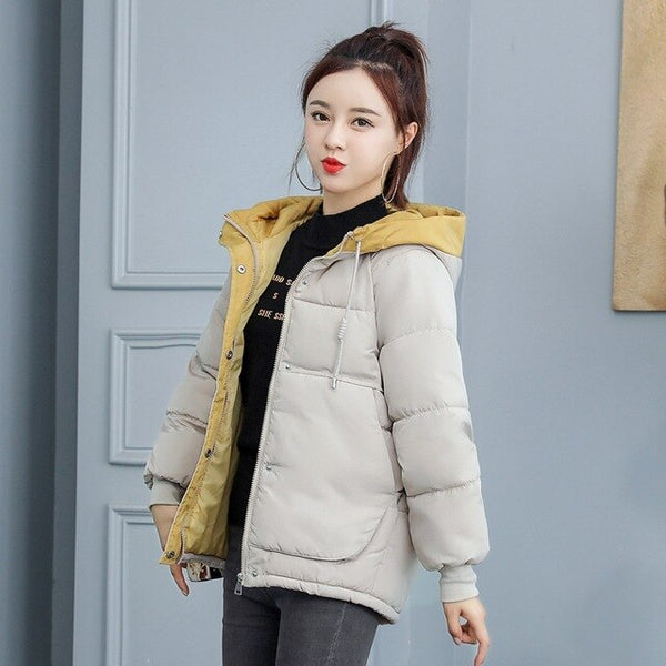 New Ladies Winter Jacket Women Cotton Padded Outwear Hooded 7 Colors Female