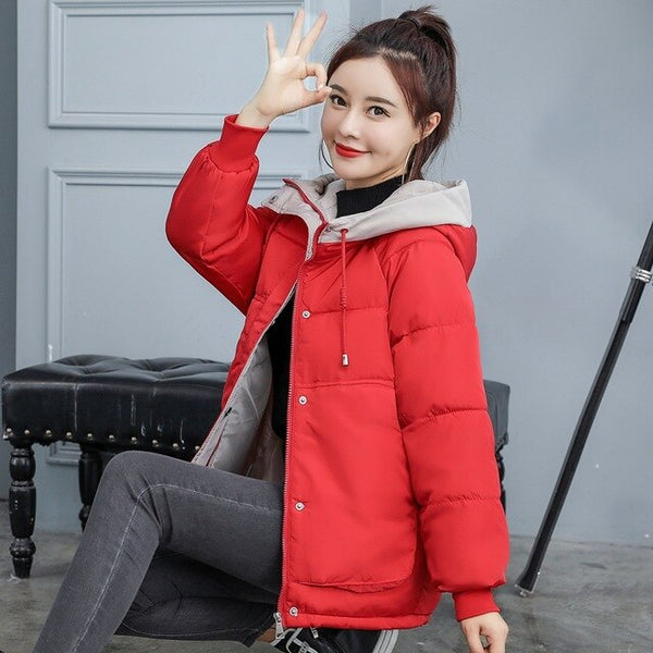 New Ladies Winter Jacket Women Cotton Padded Outwear Hooded 7 Colors Female