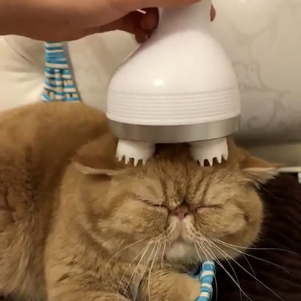 Cat Massager 3D