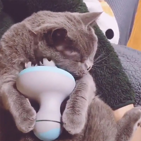 Cat Massager 3D